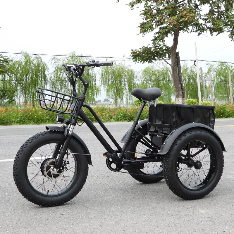 Stock Power Snow Electric Bicycle Big Three Wheel E Trikes Ebike On Sale Fat Tire Tricycle Cargo Bike Tricycle Electric Adult