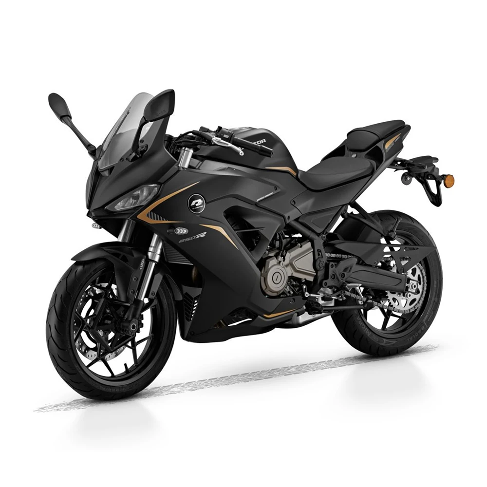 QJMOTOR RACE 250 RS Professional Chassis Tuning Motorbike Comfortable Riding Experience Qianjiang sai 250 RS