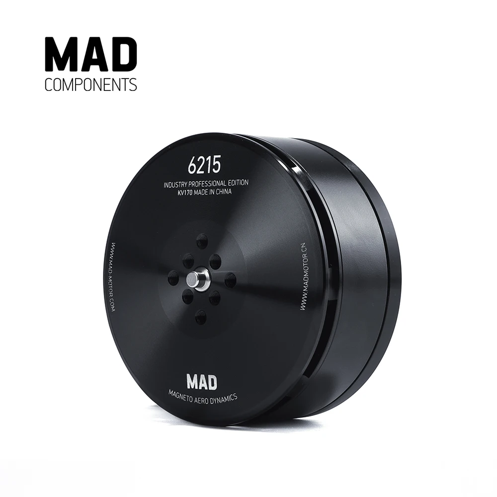 Промышленный бесщеточный двигатель постоянного тока MAD6215 IPE KV170