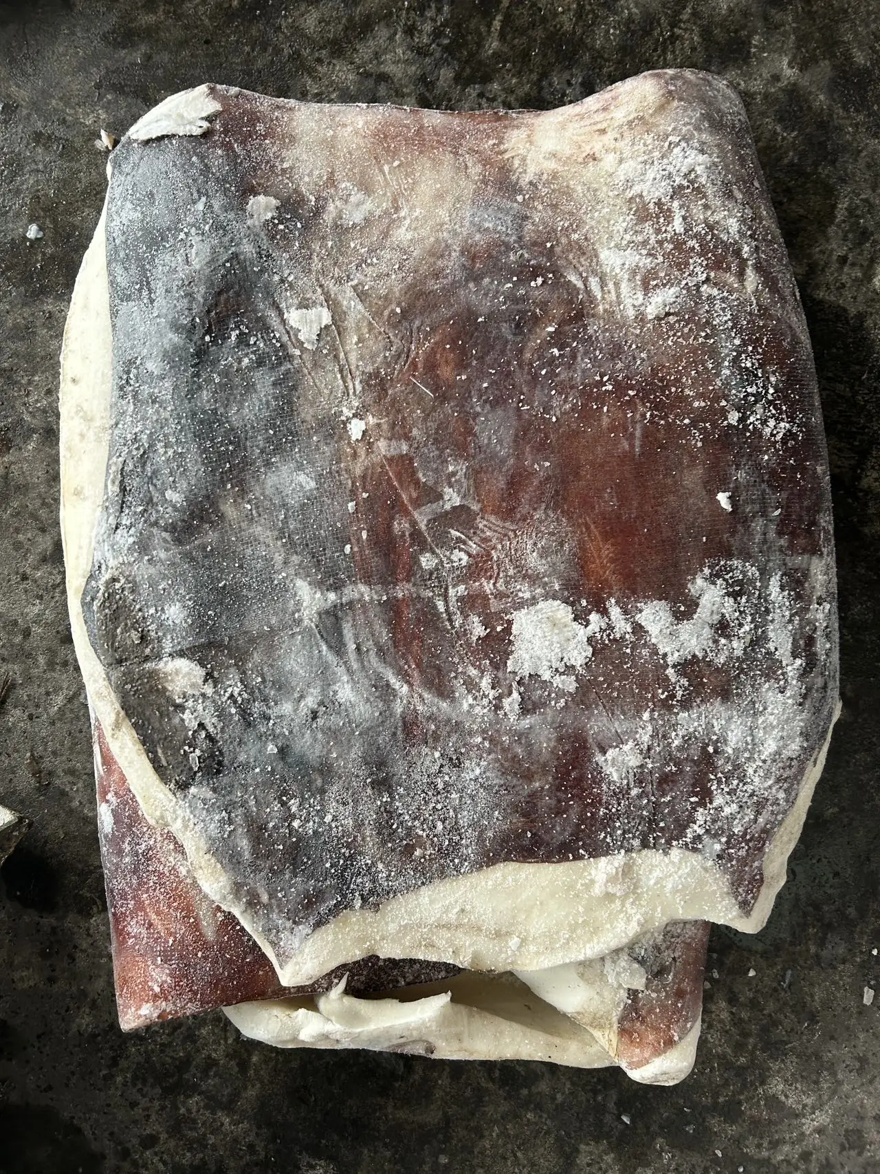 Skin on Peru squid dosidicus gigas  fillet With skin Peru Squid fillet with skin