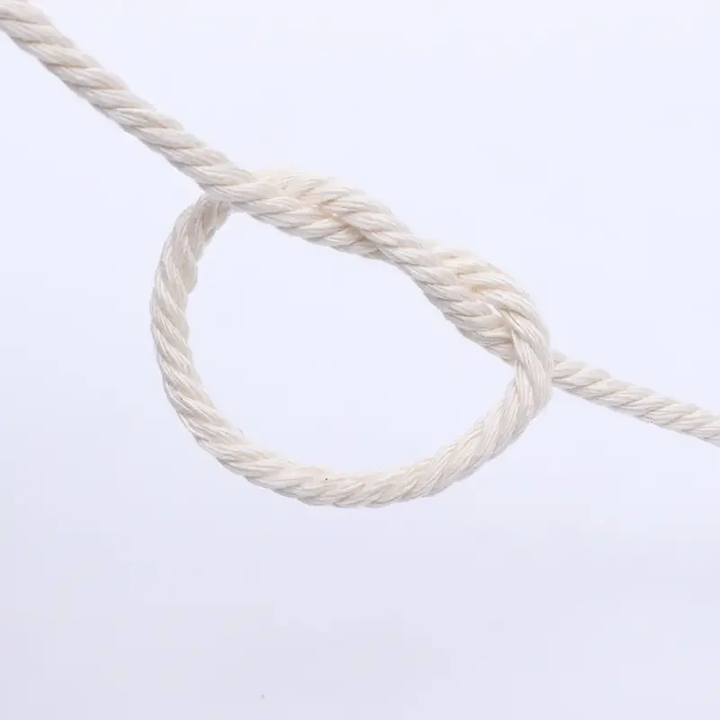 Bioserica Era High quality Macrame Cord 3mm 100% Natural Cotton Rope Twine String for DIY Craft Knitting