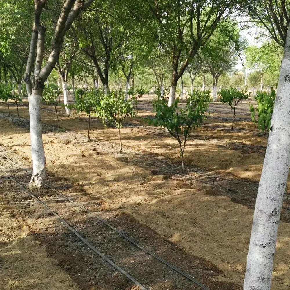 Pandora China OEM High Quality 16mm Agricultural Drip Tape  Pipe For Garden Farm With Flat Emitter