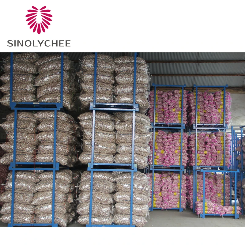 China Fresh White Garlic Factory Price
