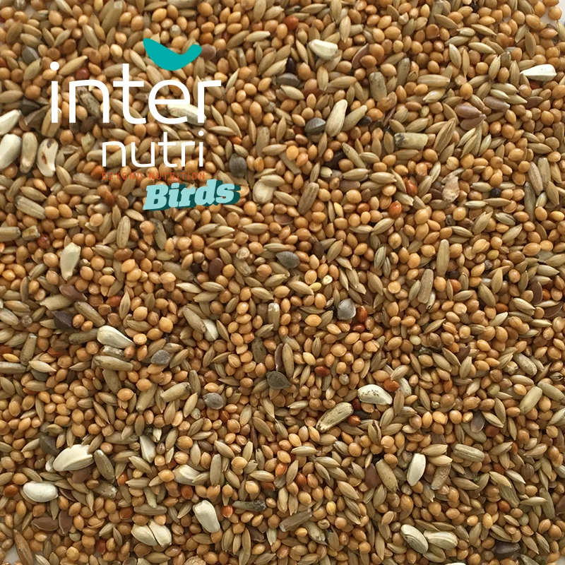 
Seed mixture for lovebirds | INTERNUTRI LOVEBIRDS 5KG 