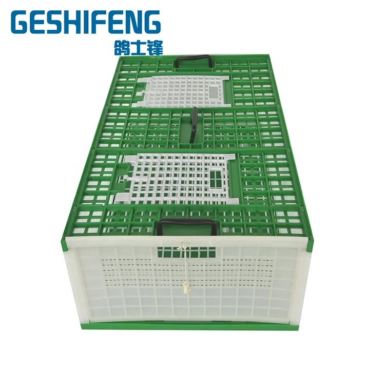 Poultry Chicken Transport Chicken Transport Cage Pigeon En Acier Plastique Duck Broiler Cage Transport Oiseau //