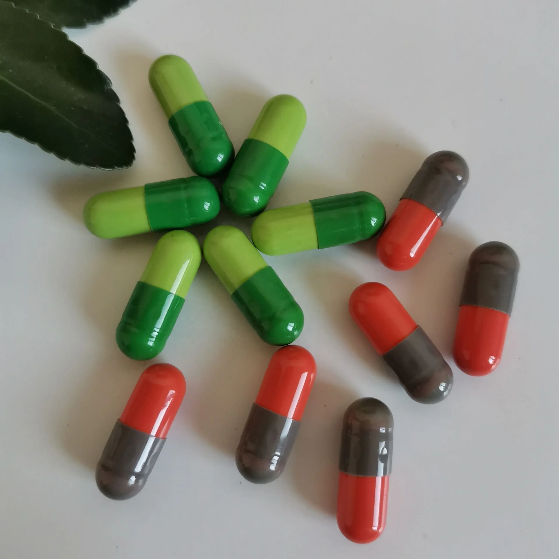 Dietary Supplement Powerful Slimming Weight Loss Pills Green Tea Extract Capsules Fat Burning Capsule