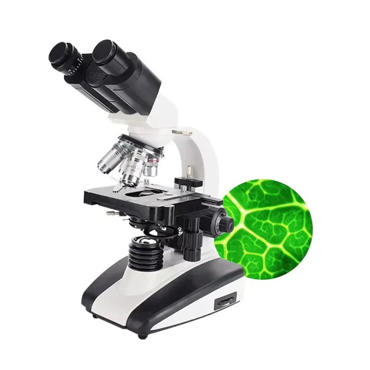 XSP-136E China Portable Student Microscope Binocular Electronic Medical Microscopes Biological for Hospital/Laboratory