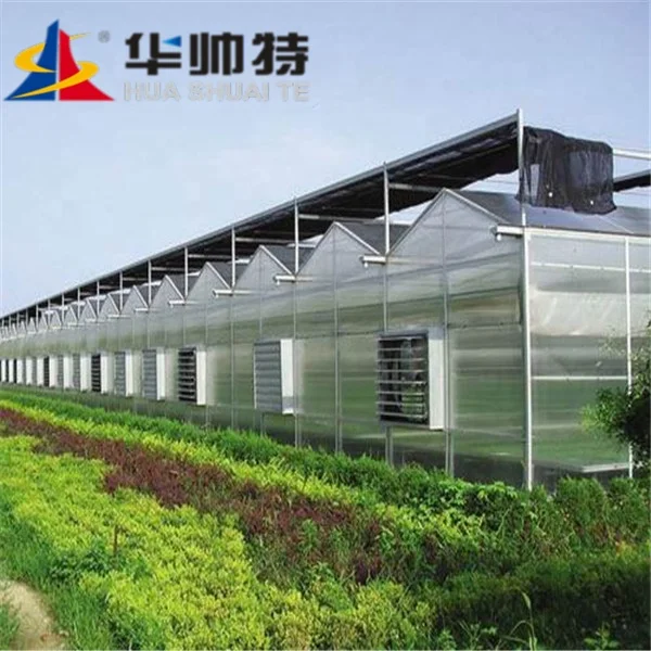 
High quality transparent agricultural glass polycarbonate greenhouse 