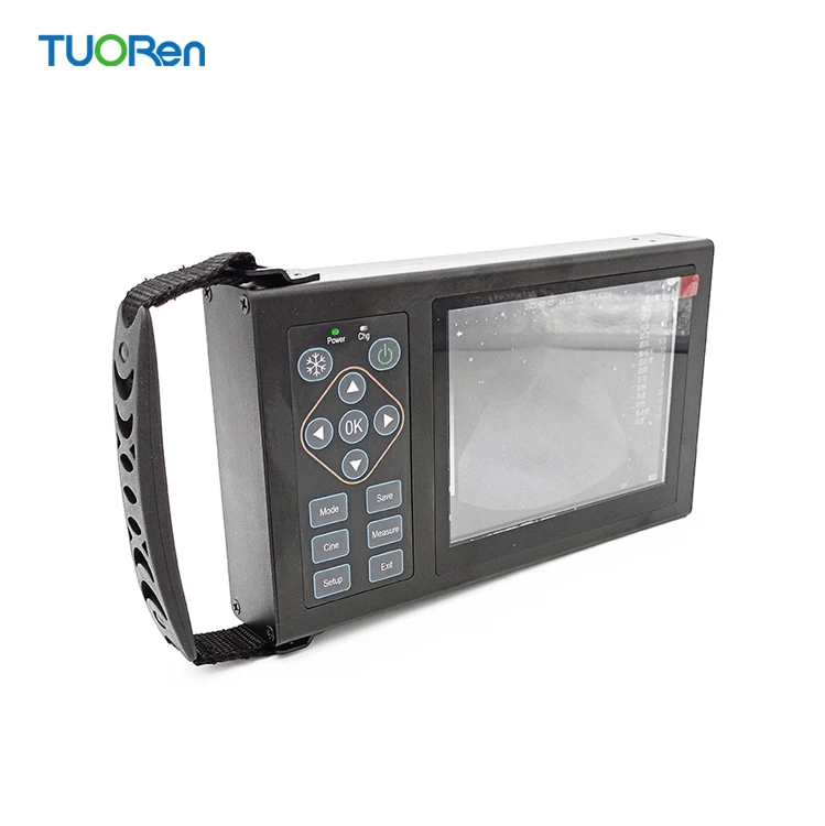 China  large animal pregnancy scanner ultrasound for farm animals