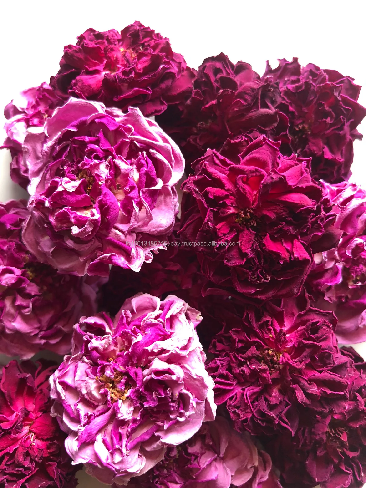 Premium Organic Rose Tea from Thailand Blooming Tea Health Care Relieve Stress Easy Drink