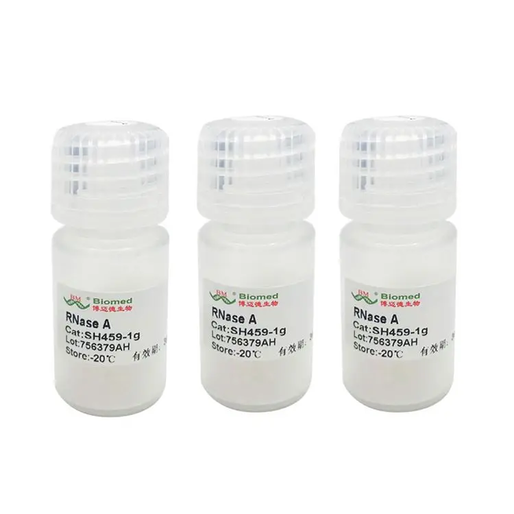 Cheap Price Ribonuclease A Powder For Molecular Biology Experiments