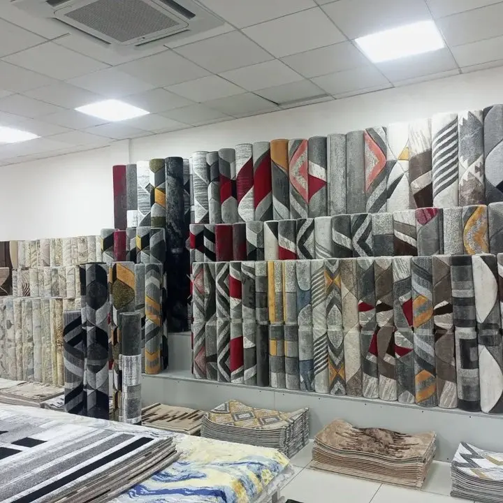 3d Printed Area Rugs for Living Room Modern Carpet Home Decorate Non Slip Mat