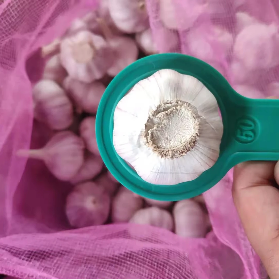 Chinese fresh normal white garlic fresh vegetables and pure white garlic for export