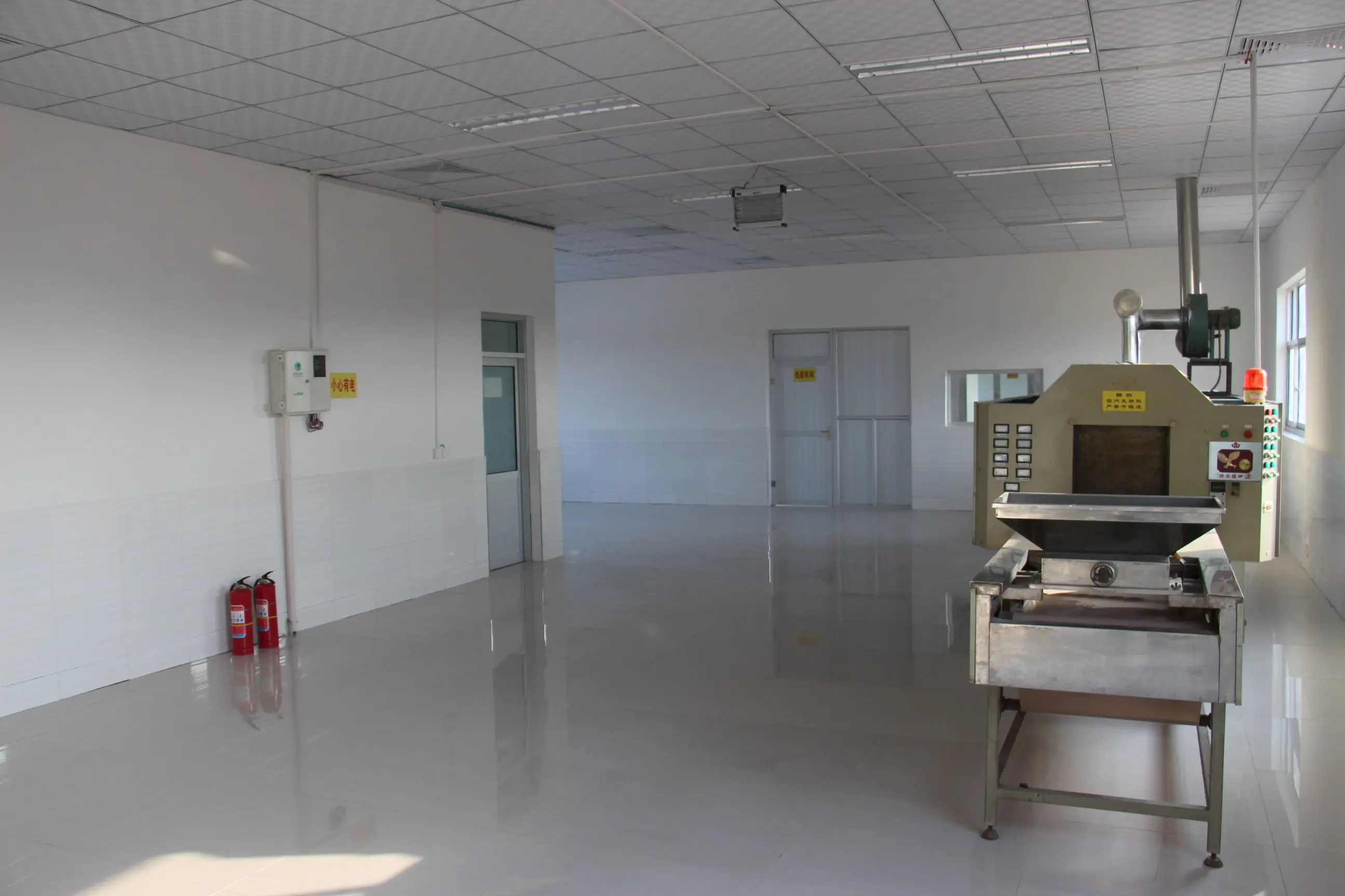 Wholesale nourishing harmless freeze dried grasshopper