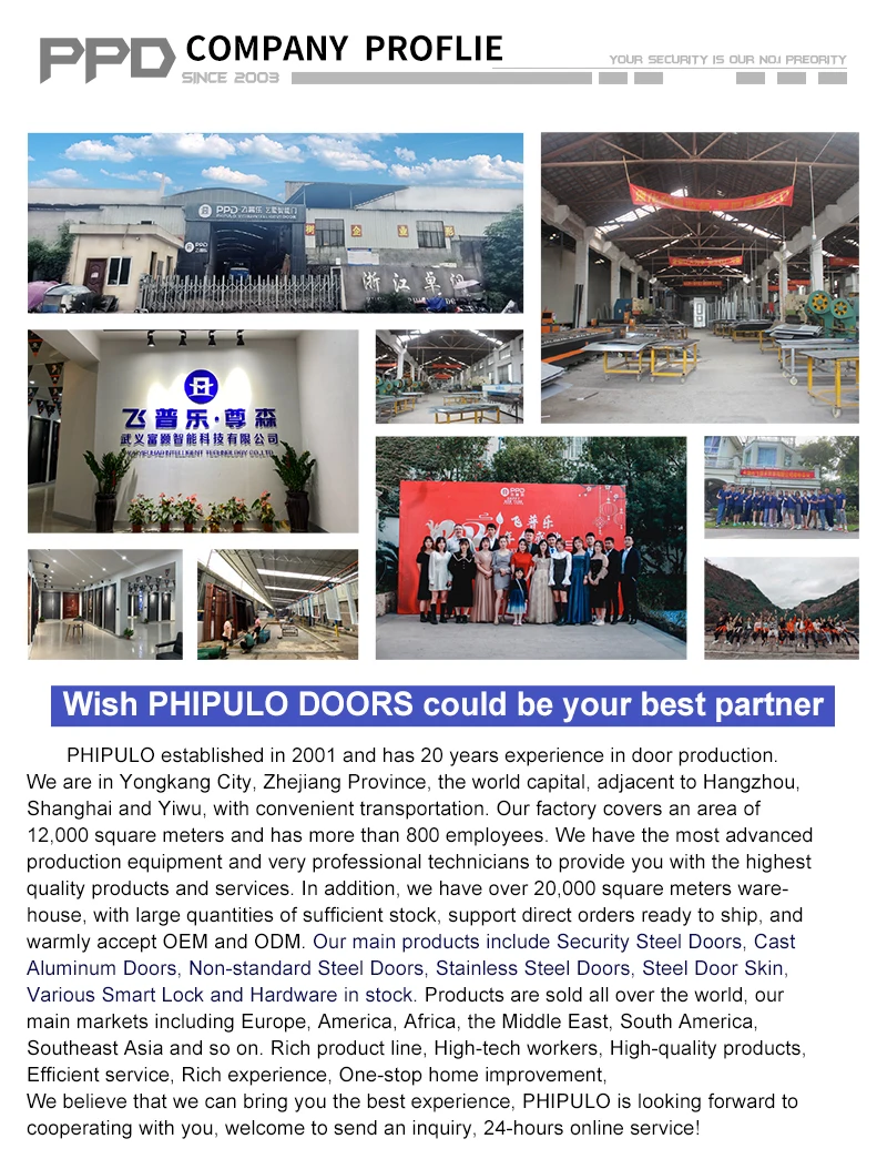 wrought iron door (5)