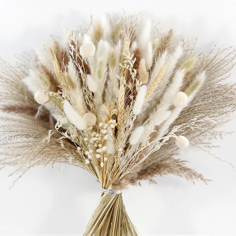 CH-029 reasonable price golden ball lagurus ovatus Rabbitail herb mixed  fluffy feather pampas grass dried flowers bouquet