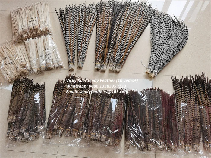 90-100cm Lady Amherst Center Tail Feathers Popular Pheasant Feathers for Carnival Costumes