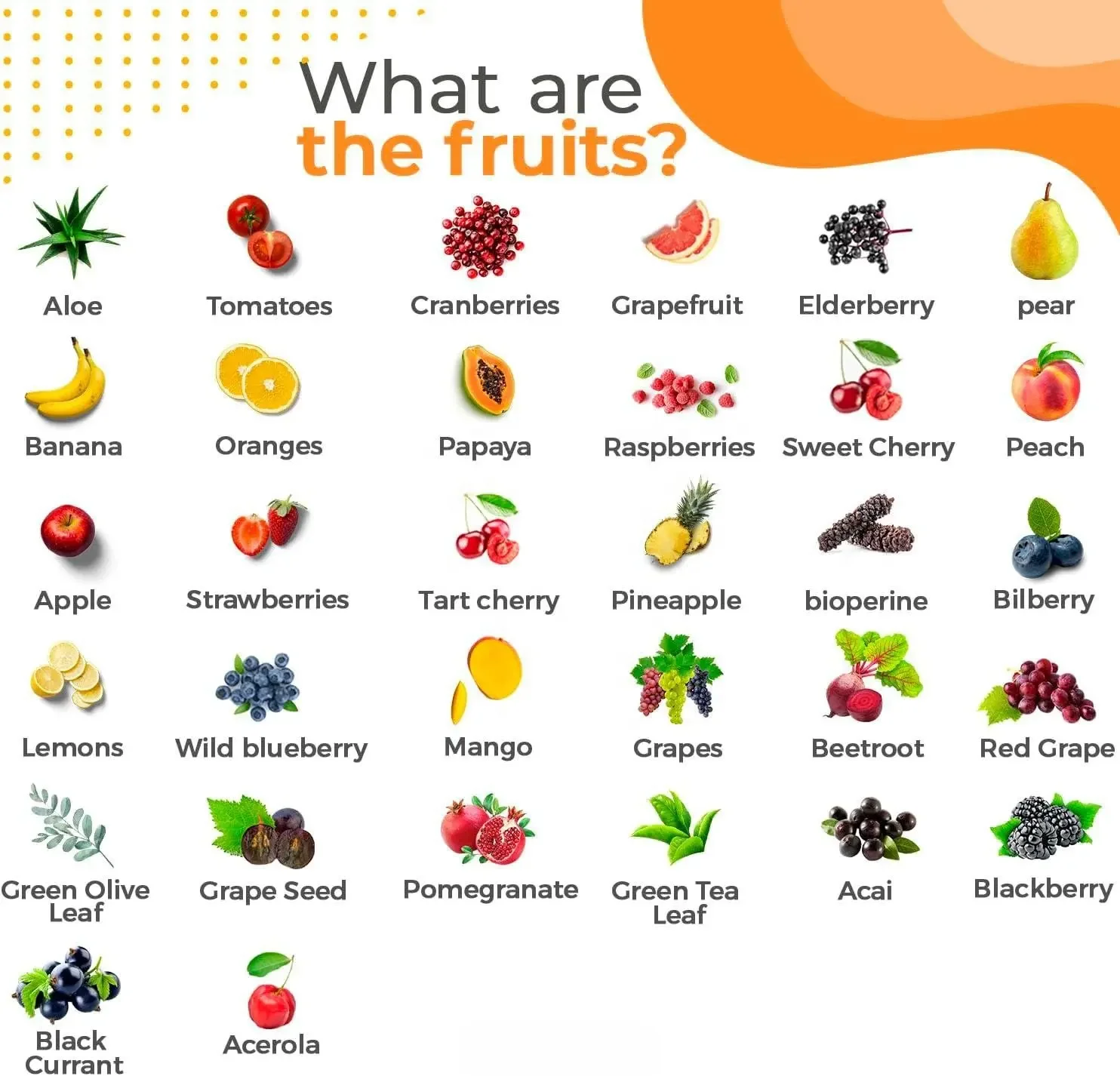 Potent Daily Multivitamin Gummy-Healthy Vitamin Mix Citrus Fruit & Kiwi 11 Vitamin Multivitamin Gummy