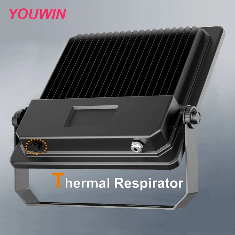 YOUWIN Wholesale 240w 30w 50w 100w 150w200w  Waterproof Ip66 Spotlight Outdoor Floodlight Stadium Projector Led Flood Light 240w