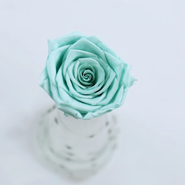 wholesale 8 pcs/box everlasting rose real touch dried flower preserved roses head 4-5 cm grade b