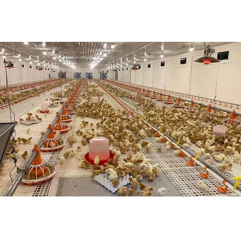 Good Design Modern Prefab Poultry Farming Shed Building Chicken Farm House