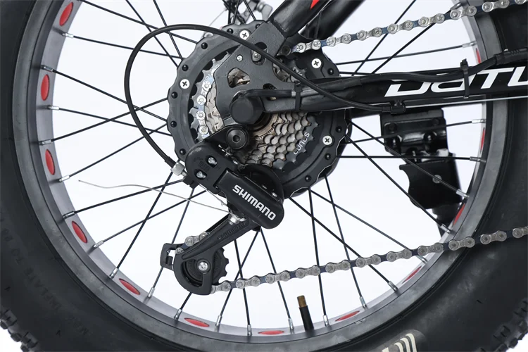 20 Inch  Electric Bicycle Fat Tire Power Assisted Bicycle Beach Lithium Electric Snowmobile