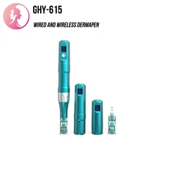 Customization Dermapen A6s with replacement battery Microneedle Therapy System Derma Pen with Display