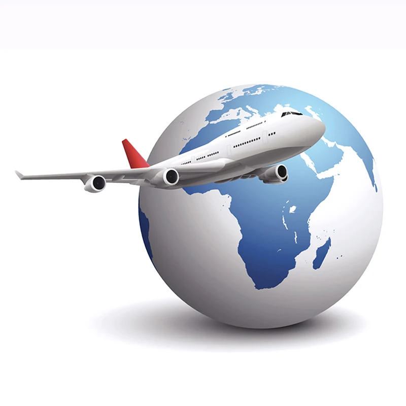 China Customs Clearance Service Customs Declaration In USA & Singapore