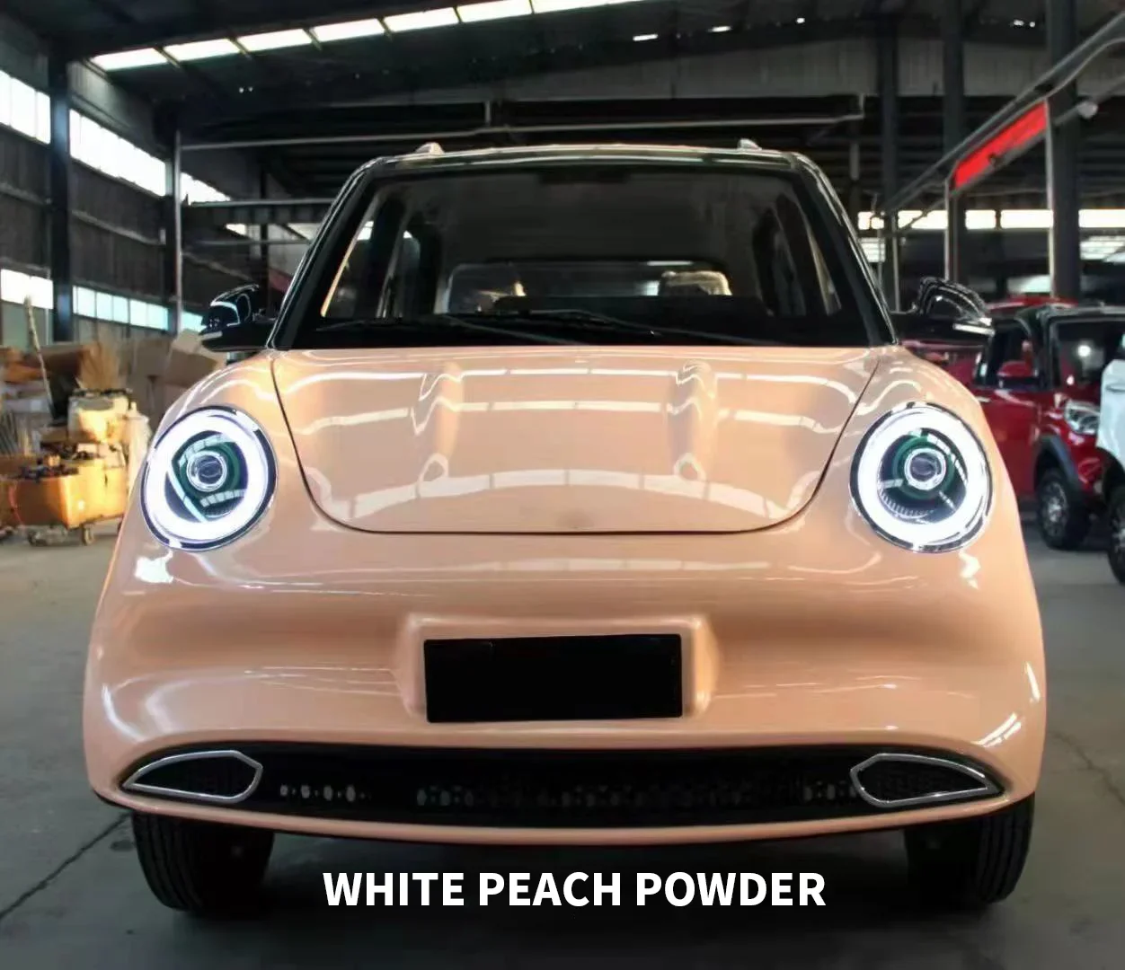 Multi-functional EEC Approval New Energy Electric Vehicle 4 Wheel Car Low Speed Adult Mini