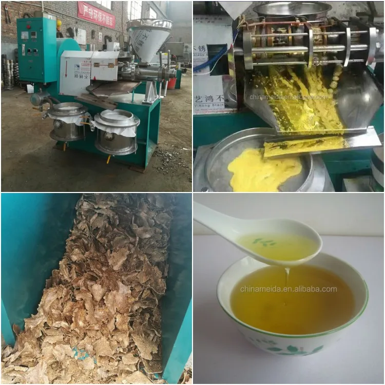 Hot Sale flaxseed cold oil press machine soybean sesame peanut cooking oil press machine