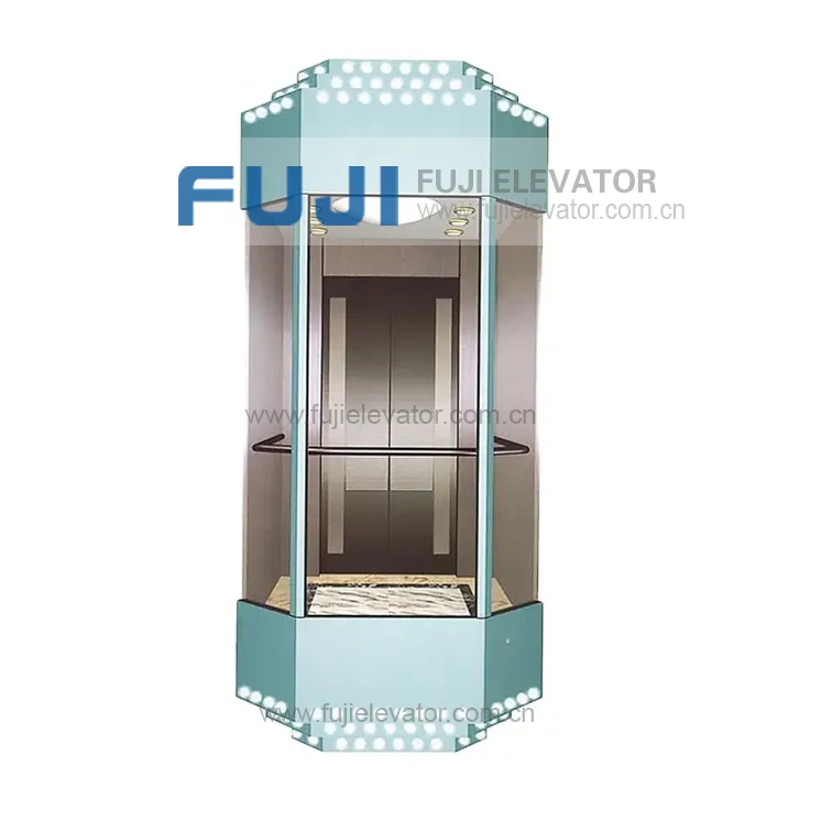 FUJI Glass Elevator  Residential Cheap Passenger Elevator Lift Small Dumbwaiter Home Lift For Sale