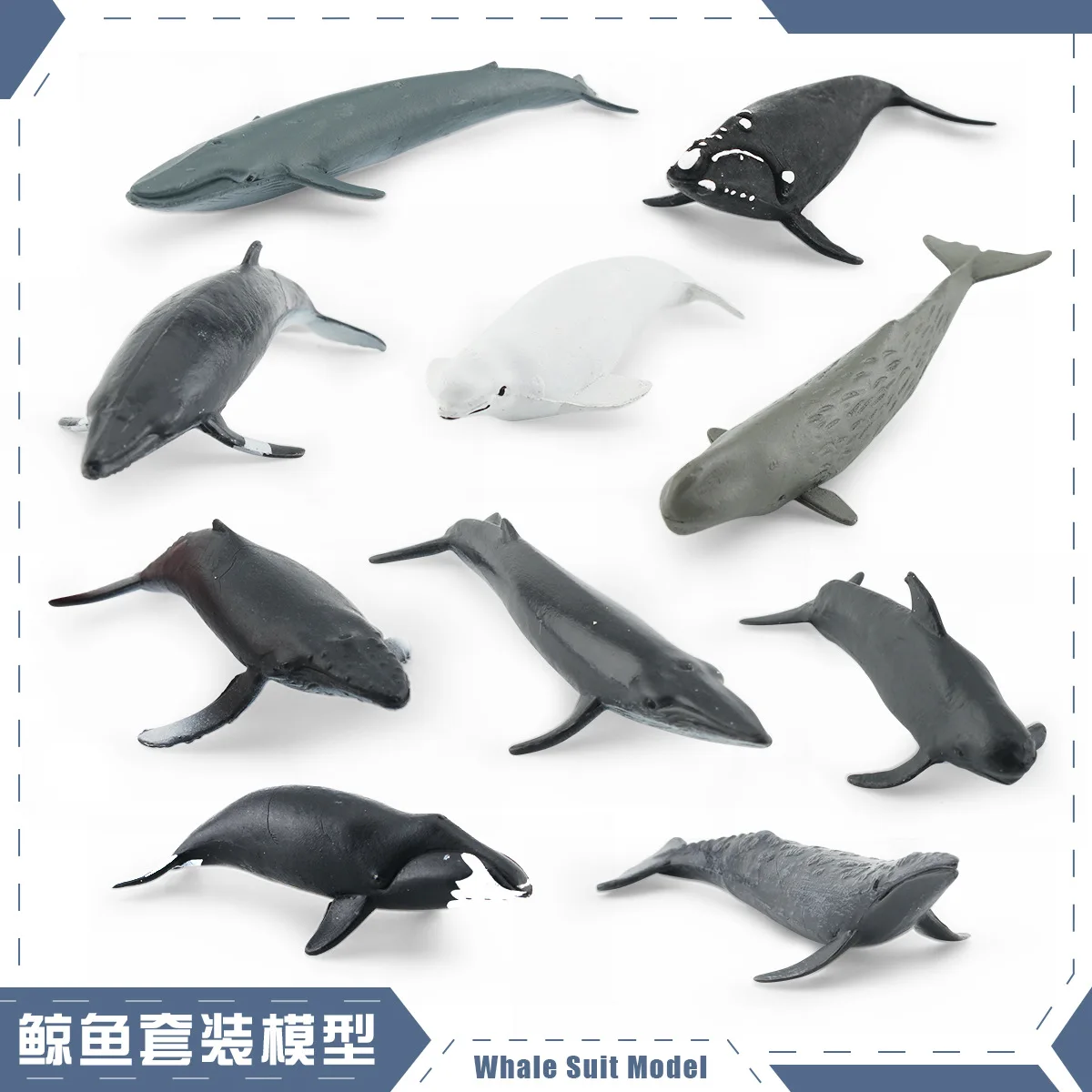 HY - simulation of Marine animal model right whale Beluga Humpback set decoration
