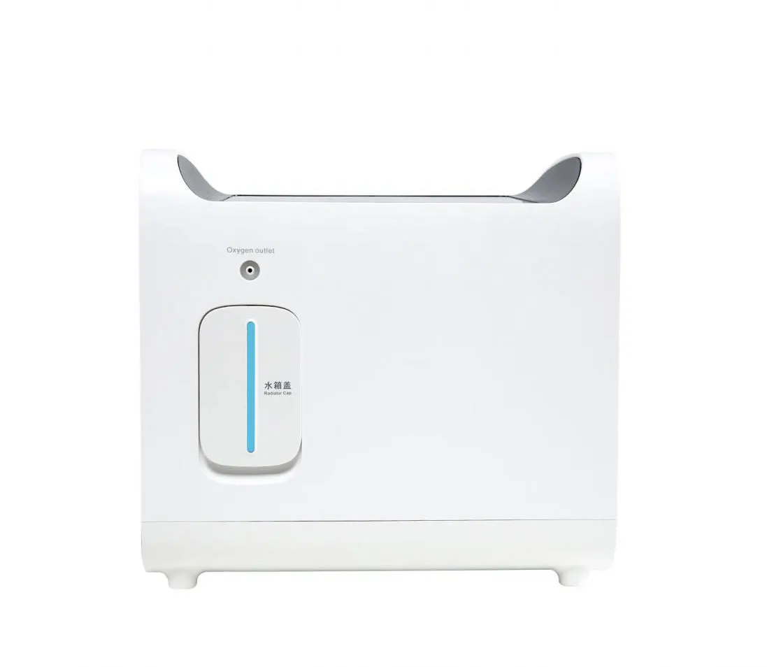 Exclusive Home Health Care Oxygen Inhaler Portable 2L Oxygen Concentrator for Pregnant Women and Infants