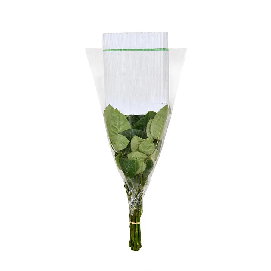 Saint Valentin 2025 Red Roses Premium Kenyan Fresh Cut Valentines day Rose large headed 62cm stem wholesale retail fresh cut