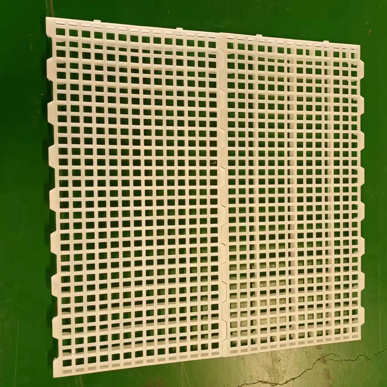 Poultry plastic slat flooring for broilers duck rabbit quail pigeon