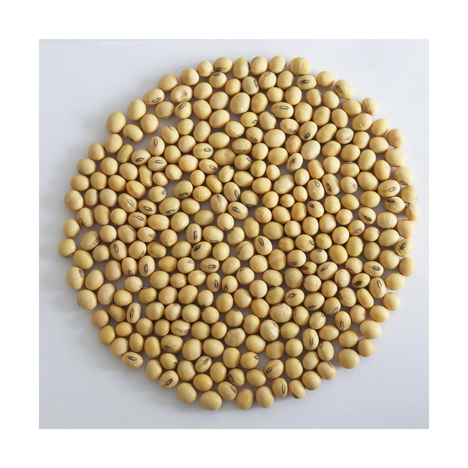 
Best Price Superior Quality Cheap Wholesale Soybeans Organic Yellow Soybeans 