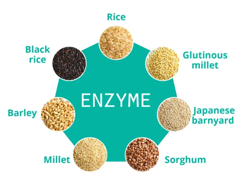 
Fucoidan Plant-derived Immune Enzyme Effective Weight Loss Slimming 