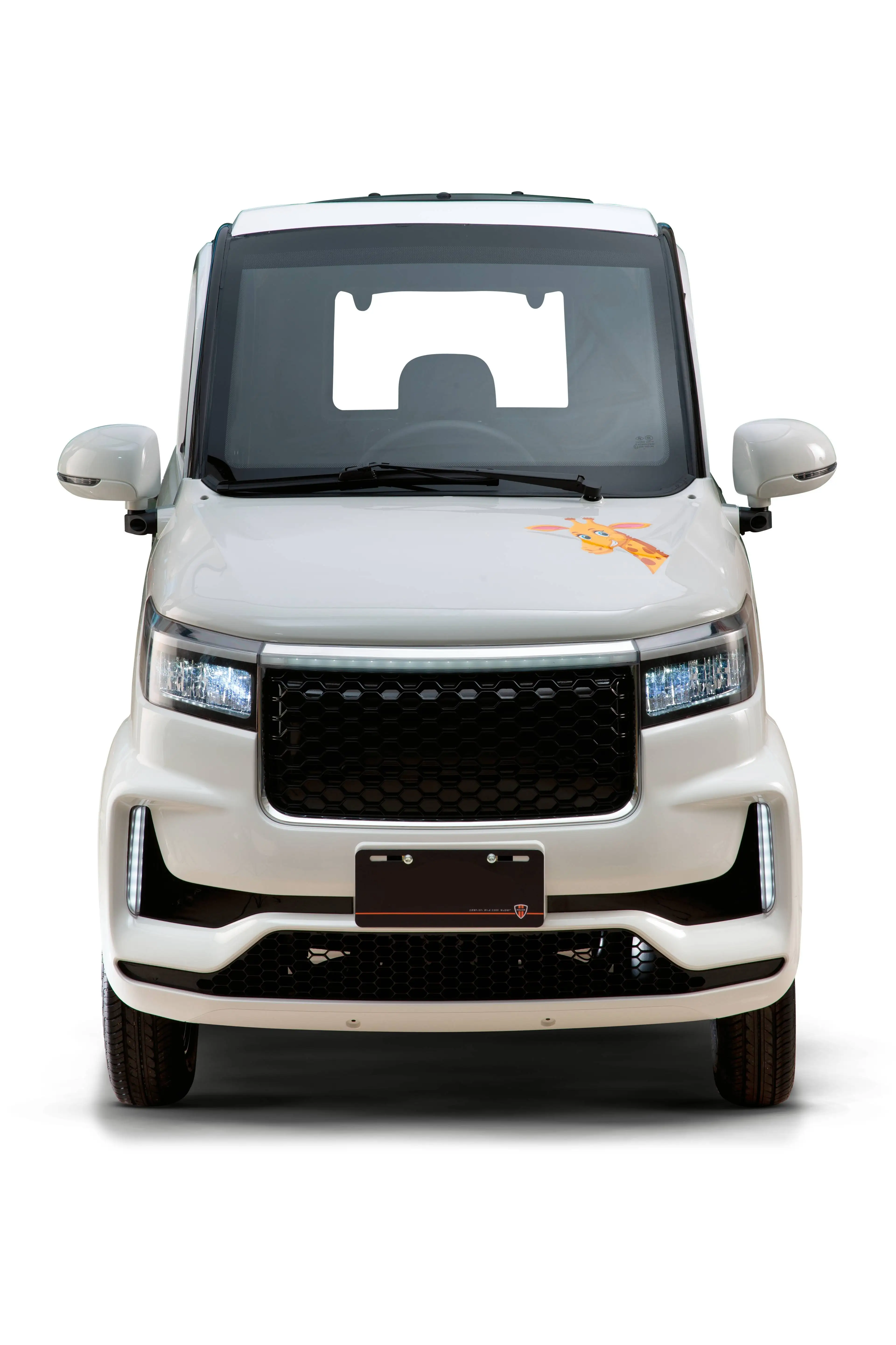 China cheap electric car Mini Van  / Mini Mobility Cabin  4 Wheel 2 Seater Electric Closed Cabin Car