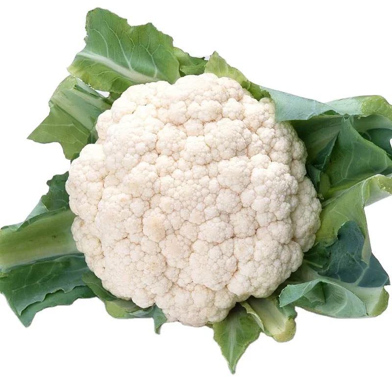 Chinese new harvest fresh cauliflower high quality cauliflower