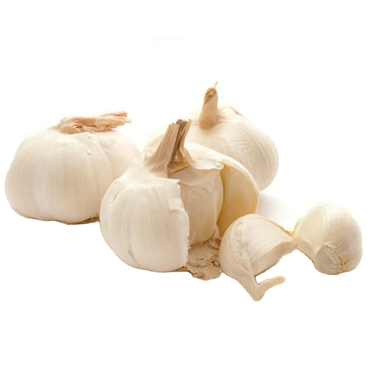 10kg /20kg/1KG mesh bag ajo loosely garlic hot sale hdpe alho mesh bags for vegetables ail carr for fresh garlic