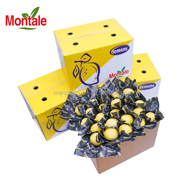 Montale Rich in Vitamins Fresh Lime Export Lemon