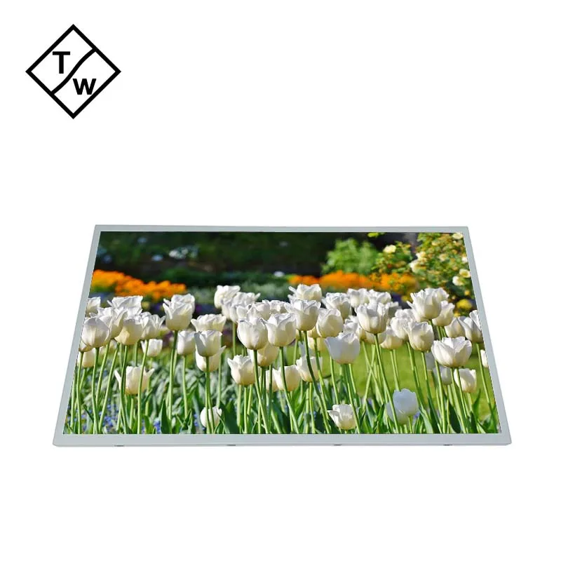 Hot Sale 18.5 inch LCD IPS Panel LED Panel BOE MV185WHB-N20