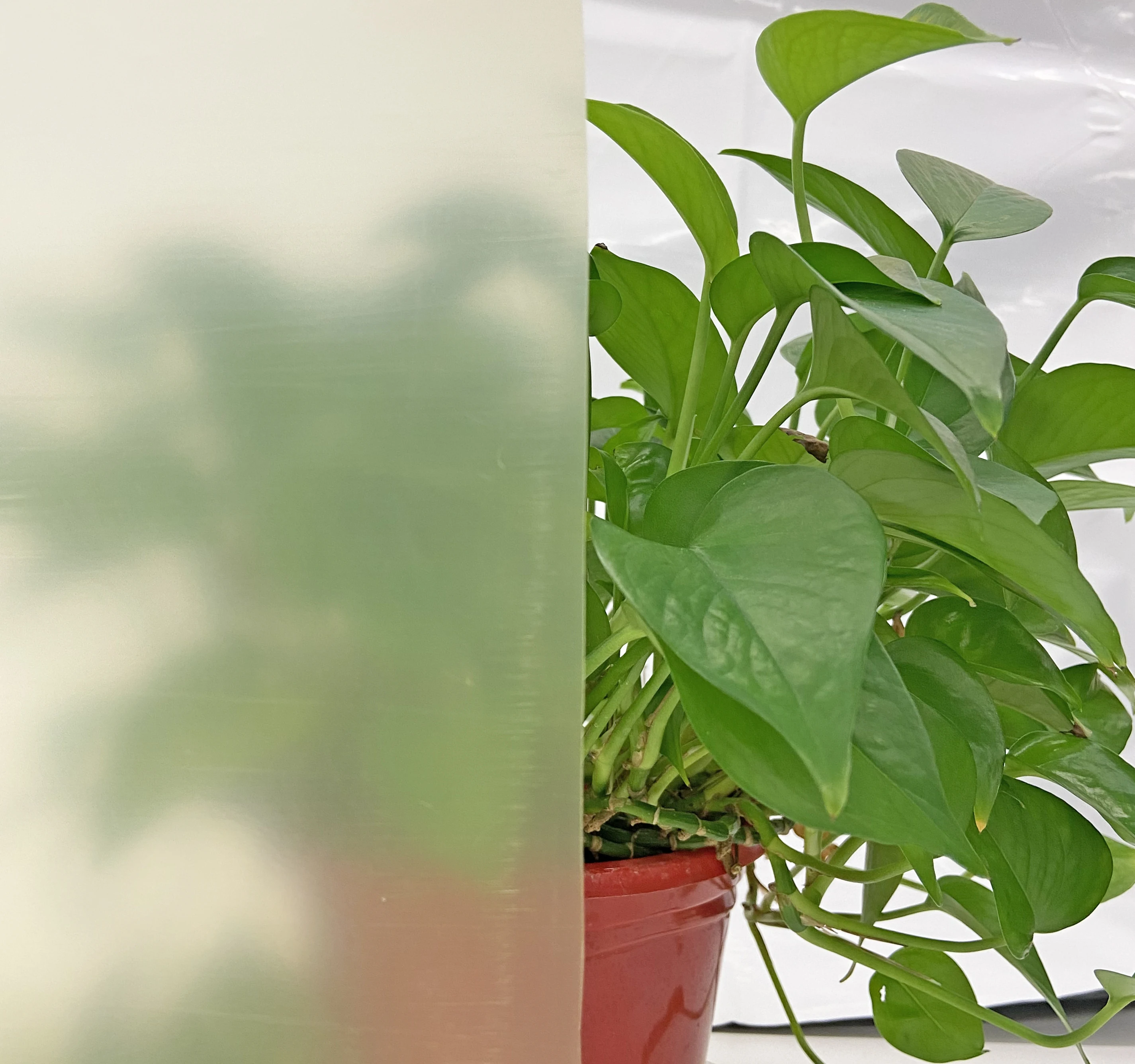 6mil 3-5 years Greenhouse Plastic Film Transparent/Yellow Anti-UV Anti-Drop Greenhouse Film Plastic Sheet Film for Greenhouse