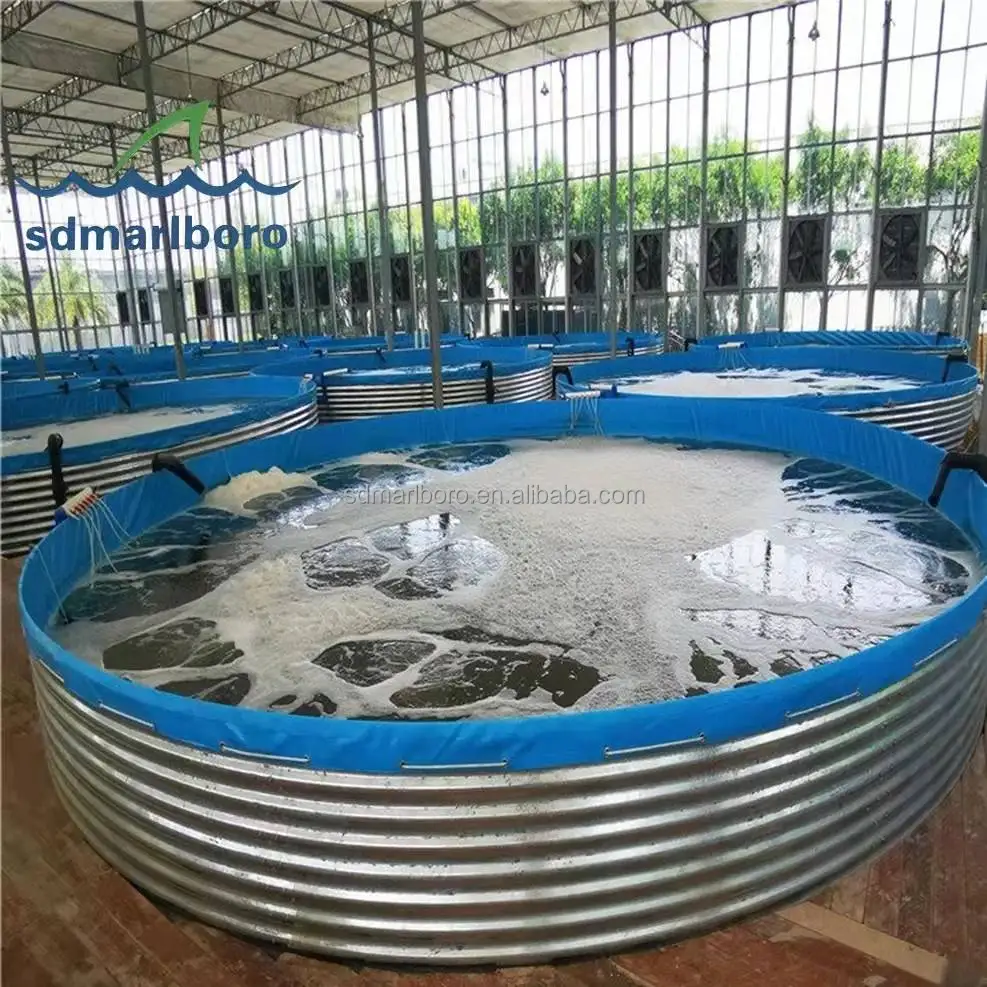 SDM завод продает оптом большой круглый ПВХ брезент для аквакультуры Biofloc Tilapia RAS аквариум для сельского хозяйства