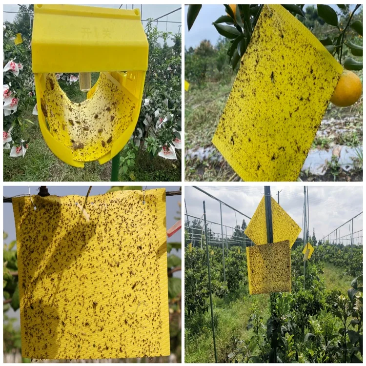 Эффективный и удобный инсектицид для борьбы с вредителями с желтой клеевой ловушкой