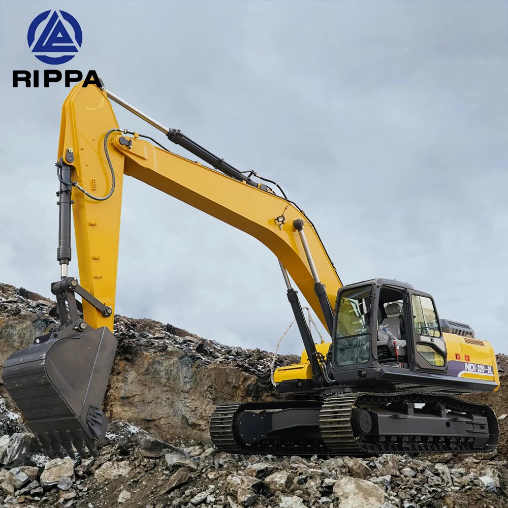 Rippa Excavator Manufacturer 20 Ton 30 Ton Big Large Digger Excavator