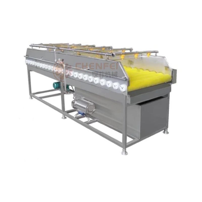 Fruit Vegetable Roller Cleaning Equipment West Plum Hawthorn Kumquat Washing Machine