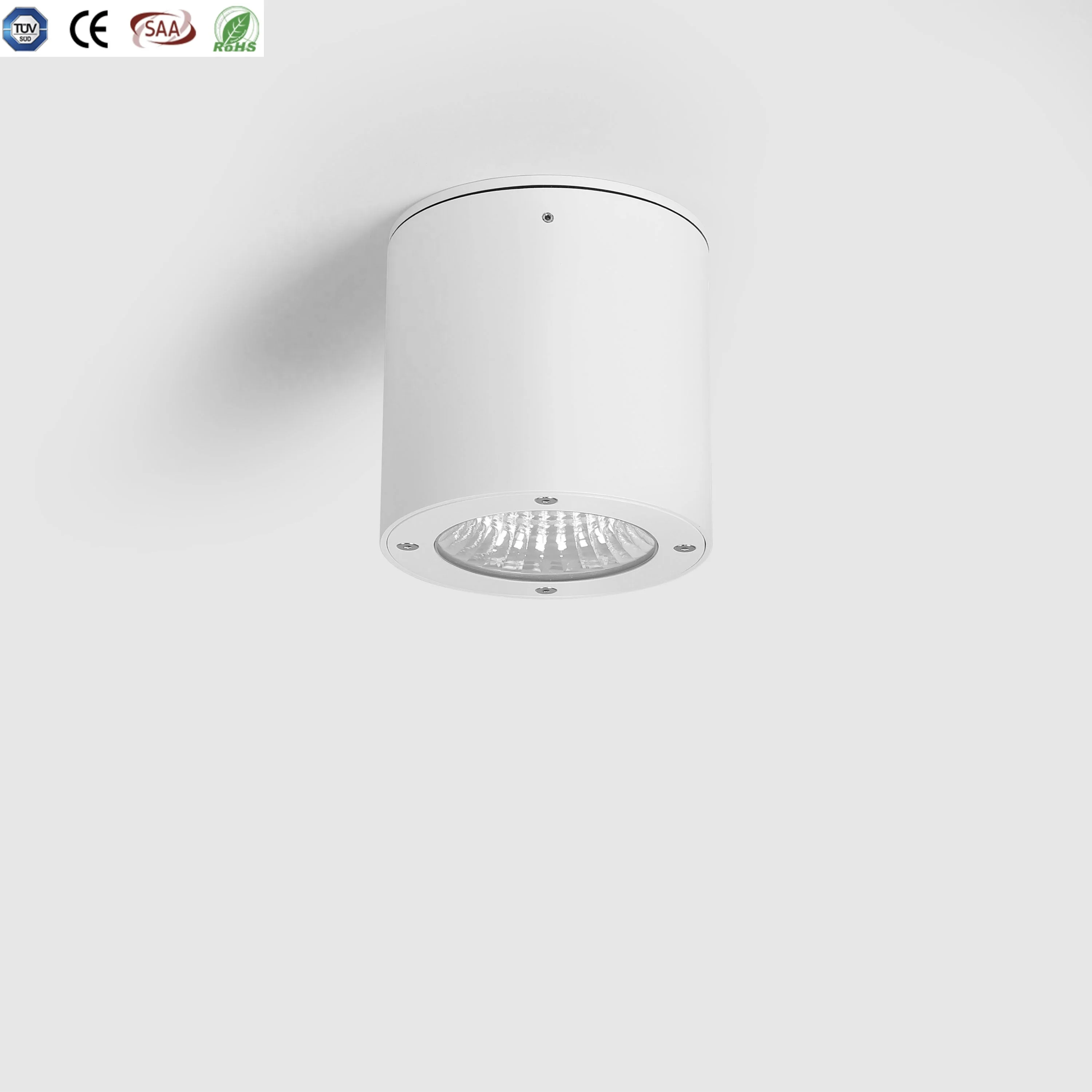 150DX150Hmm 150DMMX 200Hmm 150Dmmx300Hmm IP20,IP54,IP65  15W 20W 30W Round black White Grey Silver Ceiling Mount LED  Light