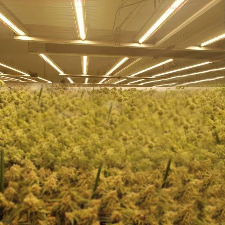 2021 BLE UV IR Custom size 6 bars 8 bars Led Grow Light For Indoor Plants