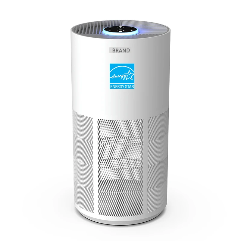 2024 OEM Custom New Factory Energy Star Listed Wifi anion portable air purifier hepa filter portable air purifier home